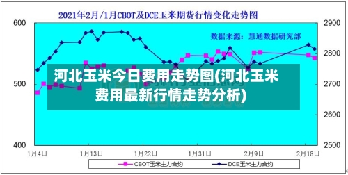 河北玉米今日费用走势图(河北玉米费用最新行情走势分析)-第2张图片