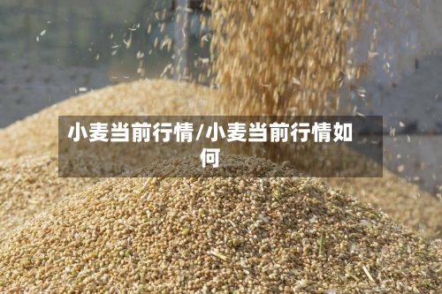 小麦当前行情/小麦当前行情如何