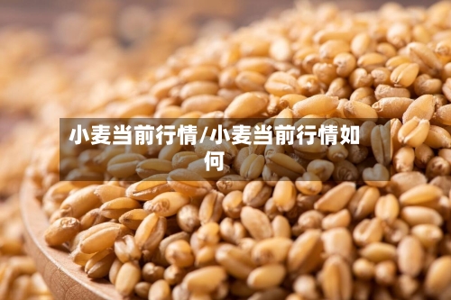 小麦当前行情/小麦当前行情如何-第2张图片