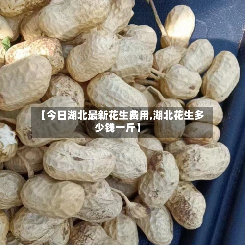 【今日湖北最新花生费用,湖北花生多少钱一斤】-第2张图片