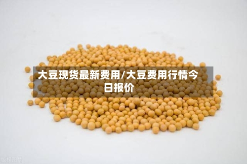 大豆现货最新费用/大豆费用行情今日报价