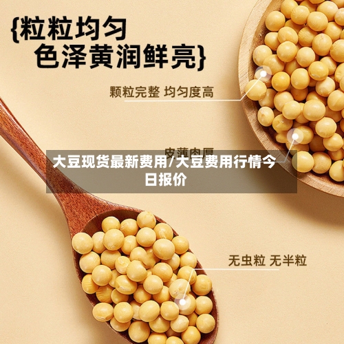 大豆现货最新费用/大豆费用行情今日报价-第3张图片