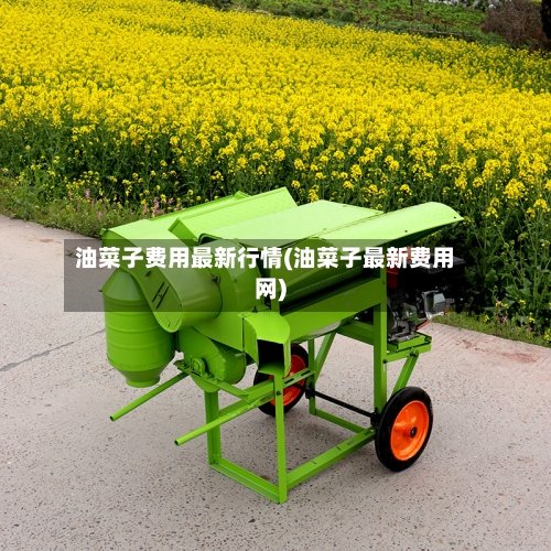 油菜子费用最新行情(油菜子最新费用网)