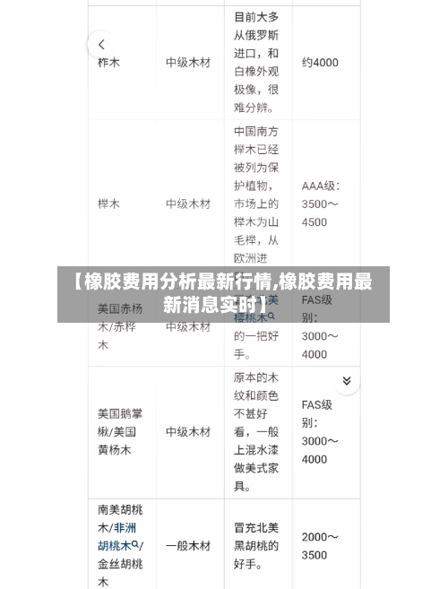 【橡胶费用分析最新行情,橡胶费用最新消息实时】-第2张图片