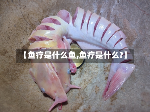 【鱼疗是什么鱼,鱼疗是什么?】