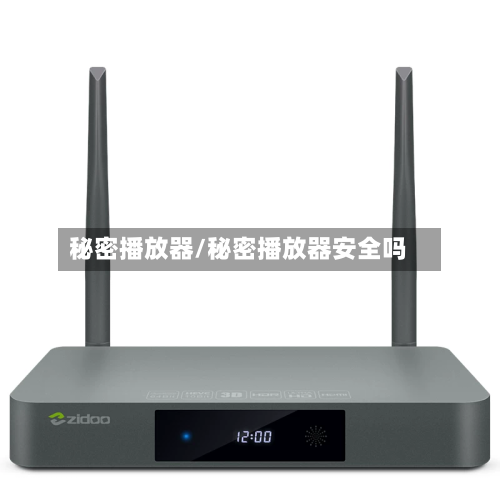 秘密播放器/秘密播放器安全吗-第3张图片