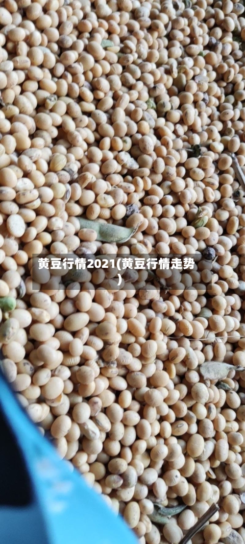 黄豆行情2021(黄豆行情走势)-第3张图片