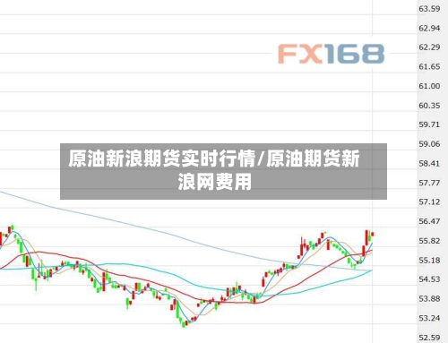 原油新浪期货实时行情/原油期货新浪网费用-第2张图片