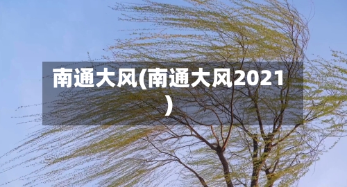 南通大风(南通大风2021)-第2张图片