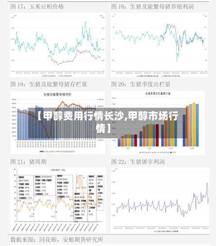 【甲醇费用行情长沙,甲醇市场行情】