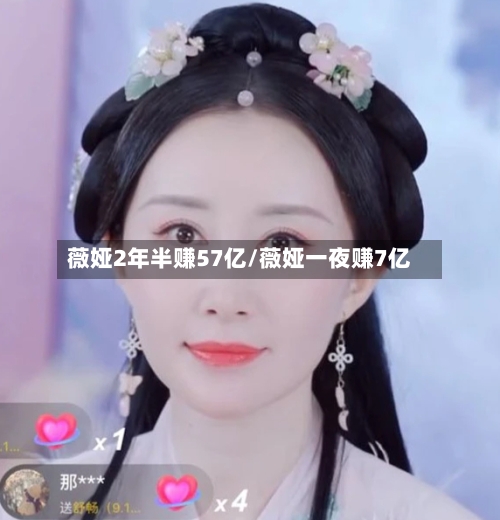 薇娅2年半赚57亿/薇娅一夜赚7亿-第3张图片