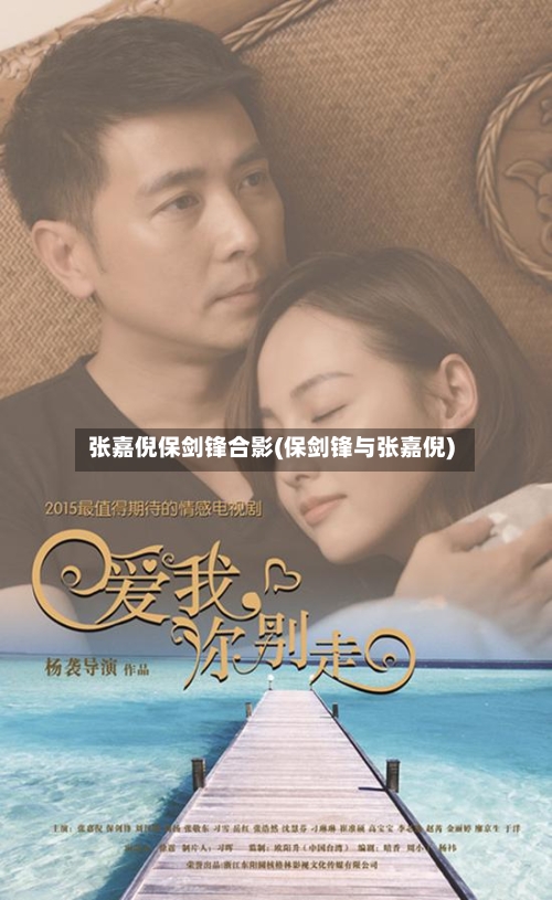 张嘉倪保剑锋合影(保剑锋与张嘉倪)-第2张图片