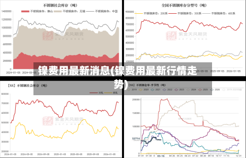 镍费用最新消息(镍费用最新行情走势)