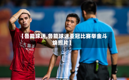 【鲁能球迷,鲁能球迷亚冠比赛举金斗焕照片】