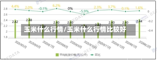 玉米什么行情/玉米什么行情比较好-第2张图片