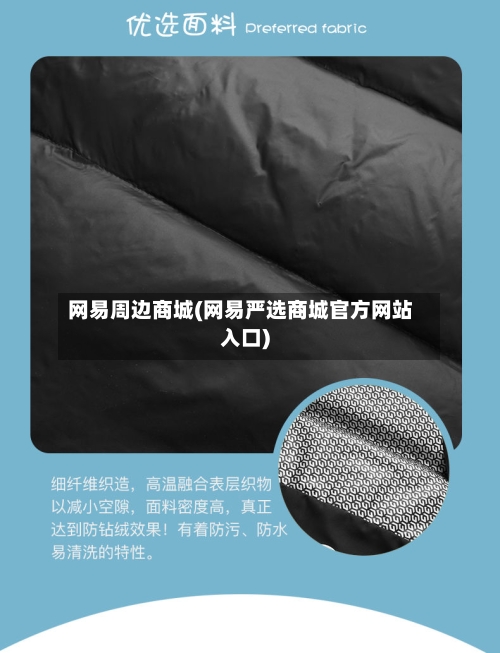 网易周边商城(网易严选商城官方网站入口)