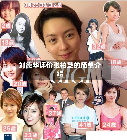 刘德华评价张柏芝的简单介绍