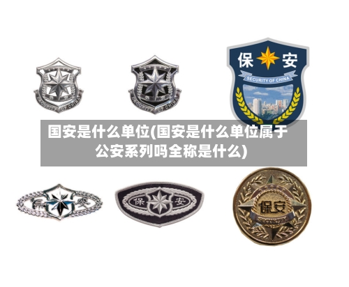 国安是什么单位(国安是什么单位属于公安系列吗全称是什么)
