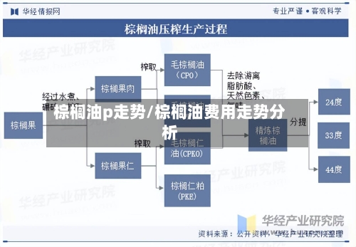 棕榈油p走势/棕榈油费用走势分析-第3张图片