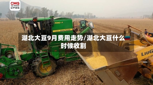 湖北大豆9月费用走势/湖北大豆什么时候收割