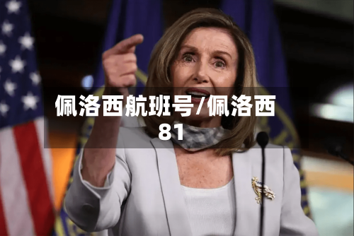 佩洛西航班号/佩洛西81-第3张图片