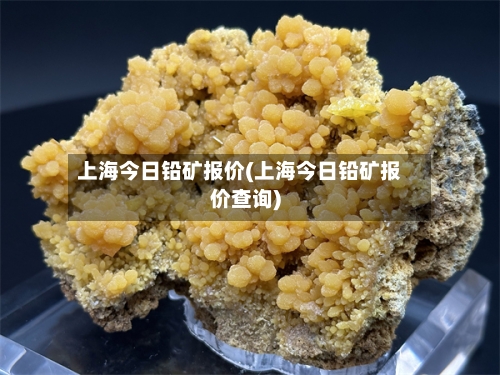 上海今日铅矿报价(上海今日铅矿报价查询)