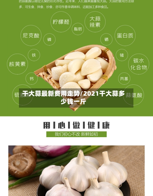 干大蒜最新费用走势/2021干大蒜多少钱一斤