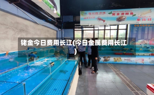 铑金今日费用长江(今日金属费用长江)-第2张图片