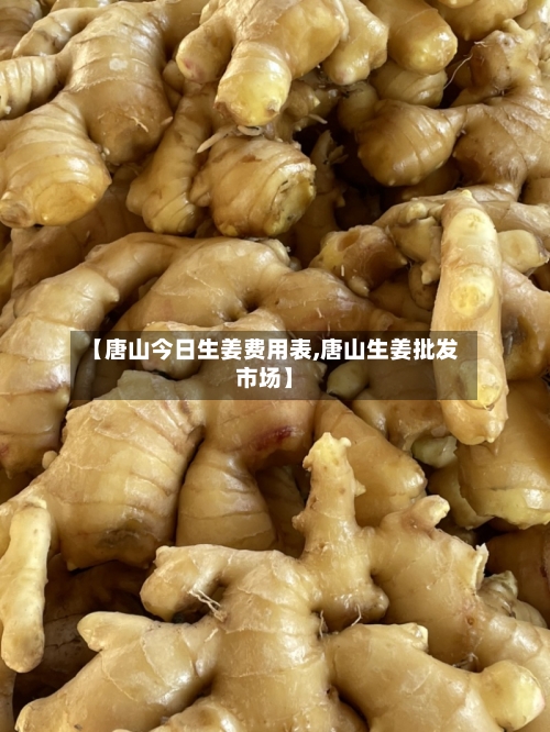 【唐山今日生姜费用表,唐山生姜批发市场】