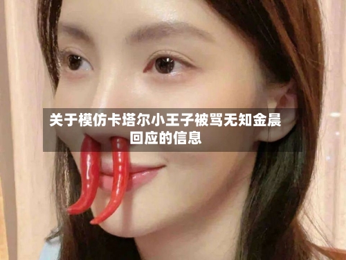 关于模仿卡塔尔小王子被骂无知金晨回应的信息-第2张图片