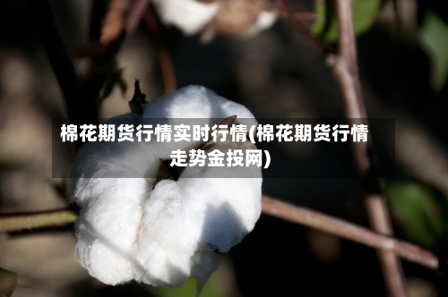 棉花期货行情实时行情(棉花期货行情走势金投网)