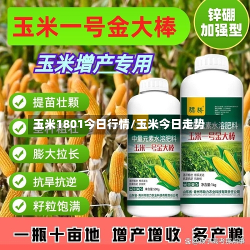 玉米1801今日行情/玉米今日走势