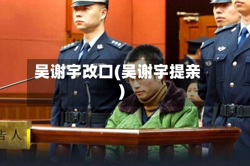 吴谢宇改口(吴谢宇提亲)-第2张图片