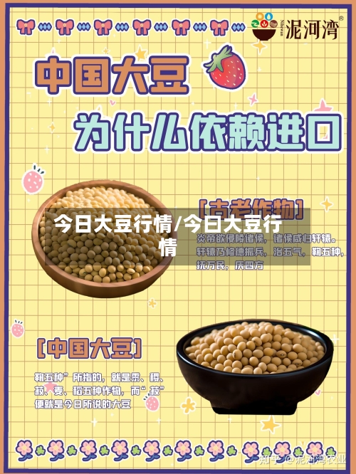 今日大豆行情/今曰大豆行情-第2张图片