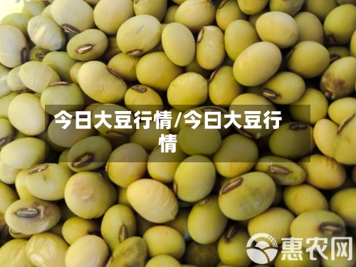 今日大豆行情/今曰大豆行情-第3张图片