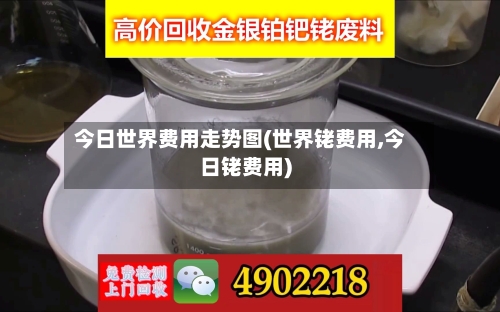 今日世界费用走势图(世界铑费用,今日铑费用)-第3张图片