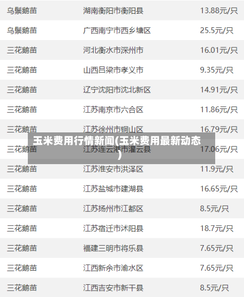 玉米费用行情新闻(玉米费用最新动态)