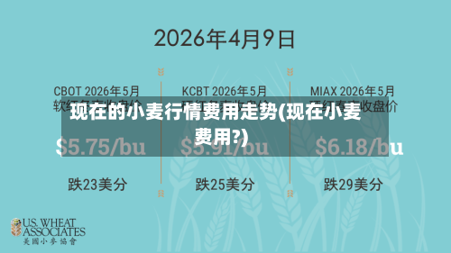 现在的小麦行情费用走势(现在小麦费用?)