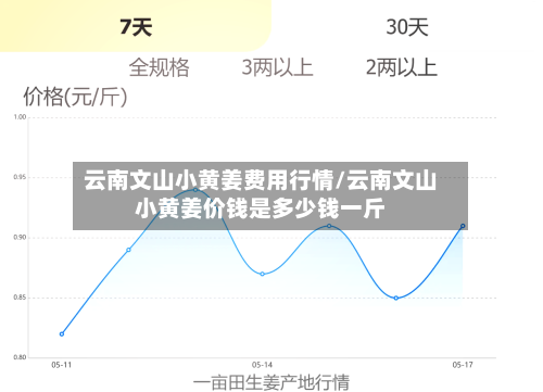 云南文山小黄姜费用行情/云南文山小黄姜价钱是多少钱一斤-第3张图片