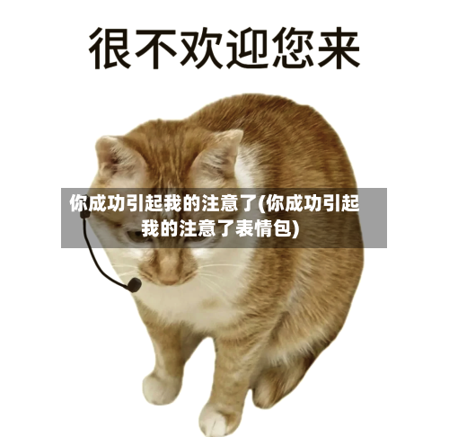 你成功引起我的注意了(你成功引起我的注意了表情包)