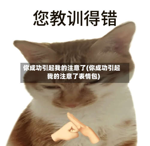 你成功引起我的注意了(你成功引起我的注意了表情包)-第2张图片