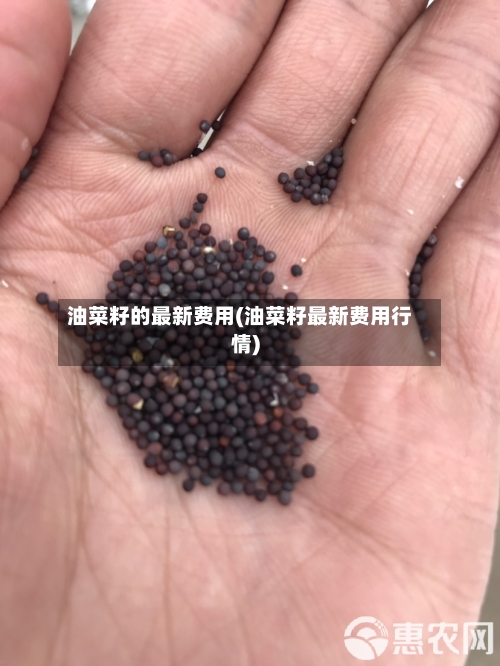 油菜籽的最新费用(油菜籽最新费用行情)-第2张图片