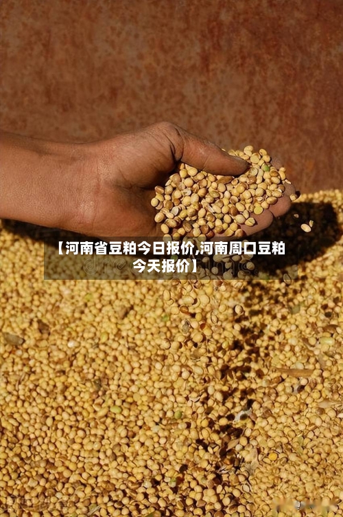 【河南省豆粕今日报价,河南周口豆粕今天报价】