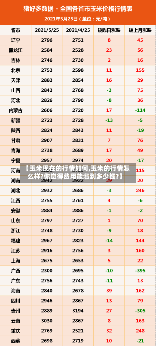 【玉米现在的行情如何,玉米的行情怎么样?你觉得费用能涨到多少钱?】