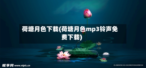 荷塘月色下载(荷塘月色mp3铃声免费下载)