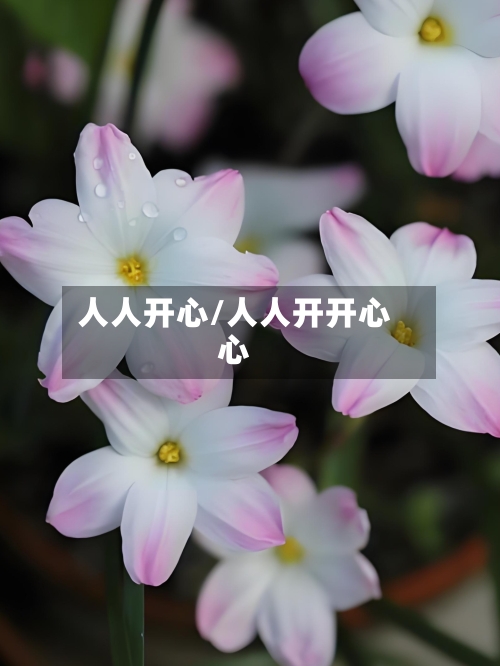 人人开心/人人开开心心