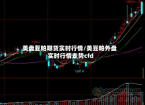 美盘豆粕期货实时行情/美豆粕外盘实时行情走势cfd-第3张图片