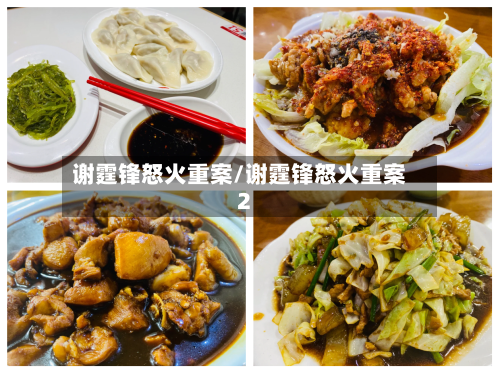 谢霆锋怒火重案/谢霆锋怒火重案2