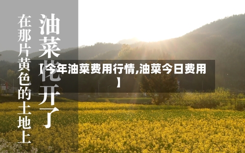【今年油菜费用行情,油菜今日费用】-第2张图片