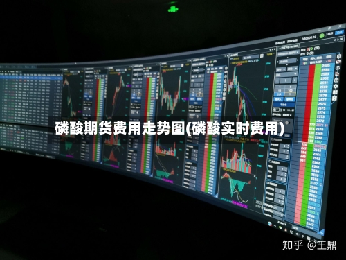 磷酸期货费用走势图(磷酸实时费用)